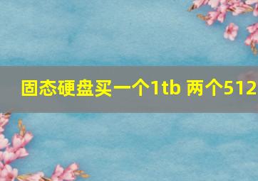 固态硬盘买一个1tb 两个512